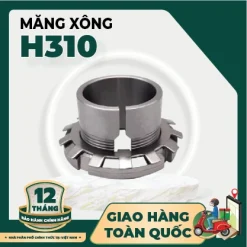 MĂNG XÔNG